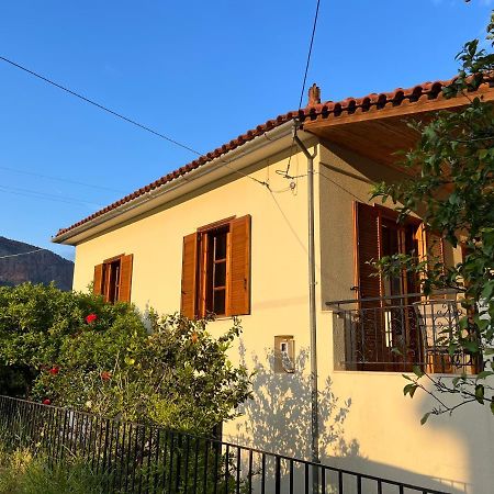 Вілла Lemon Tree House Леонідіон Екстер'єр фото